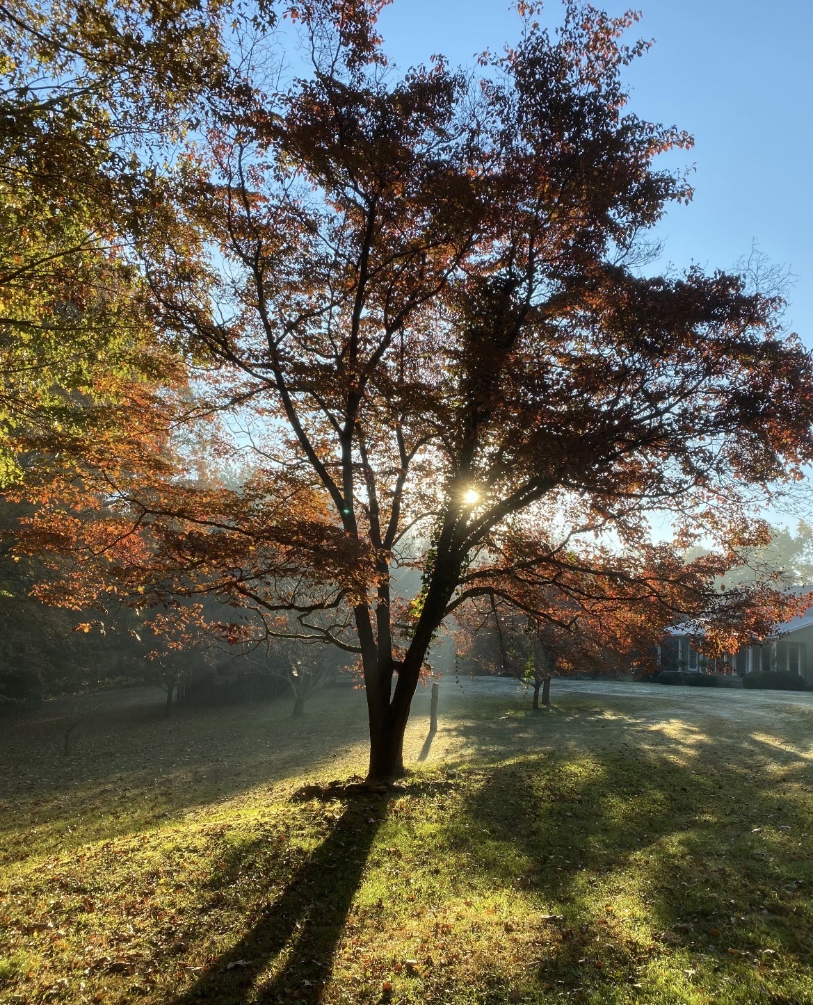 925 Bumpas Road Lawrenceburg, TN 38464 - Photo 19 of 28