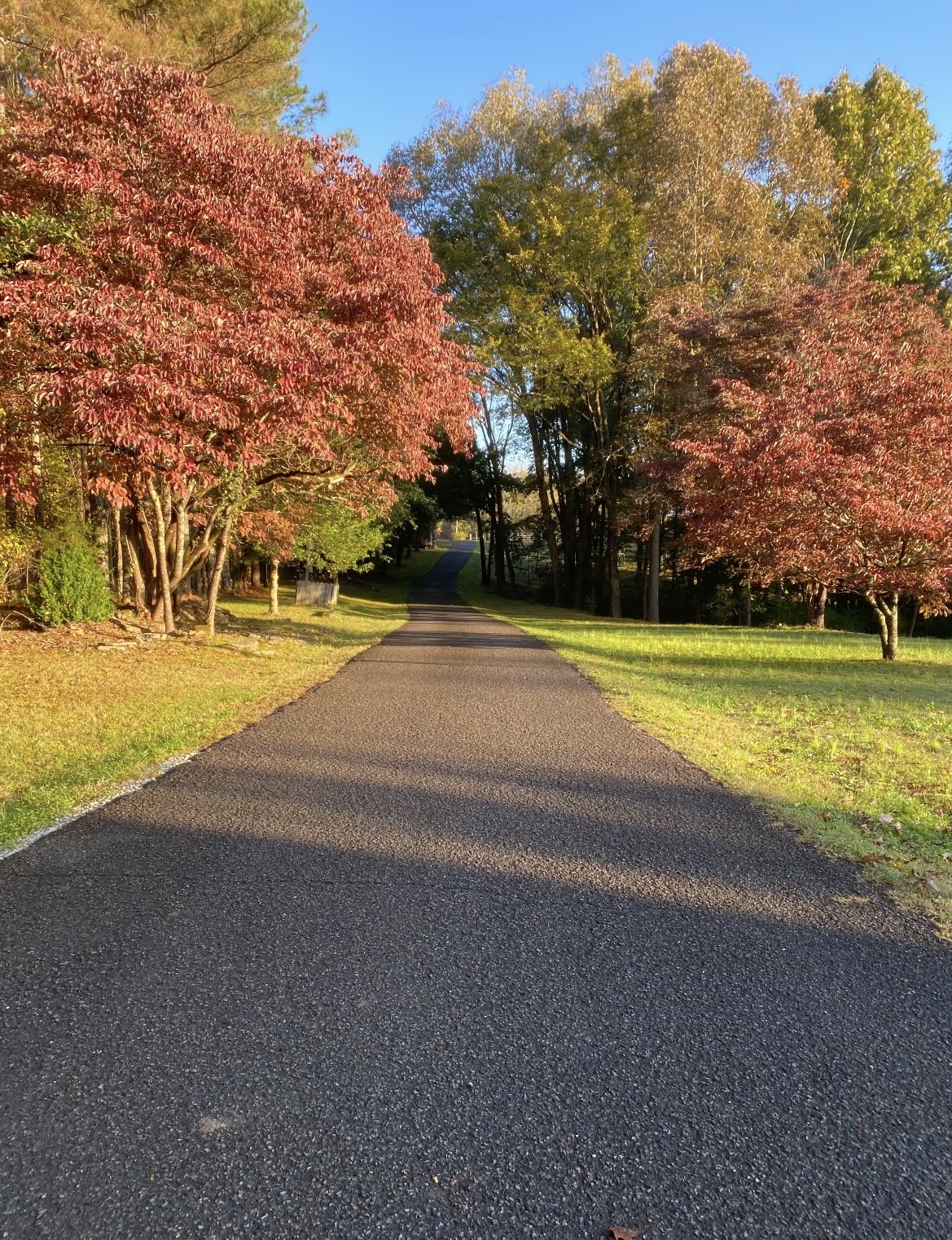 925 Bumpas Road Lawrenceburg, TN 38464 - Photo 20 of 28