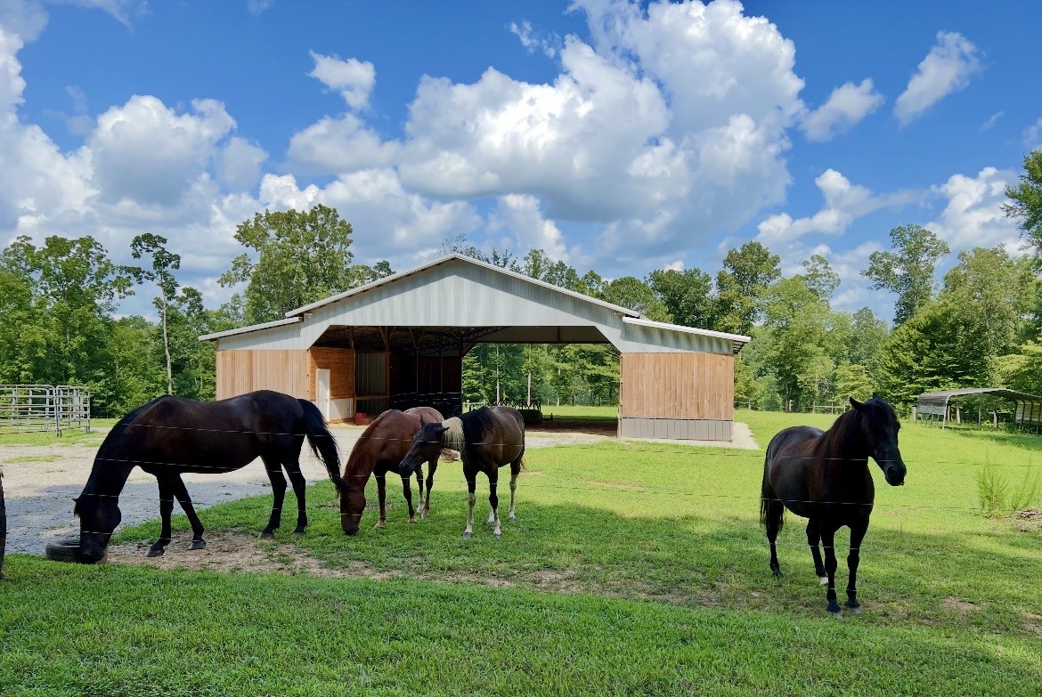 925 Bumpas Road Lawrenceburg, TN 38464 - Photo 2 of 28