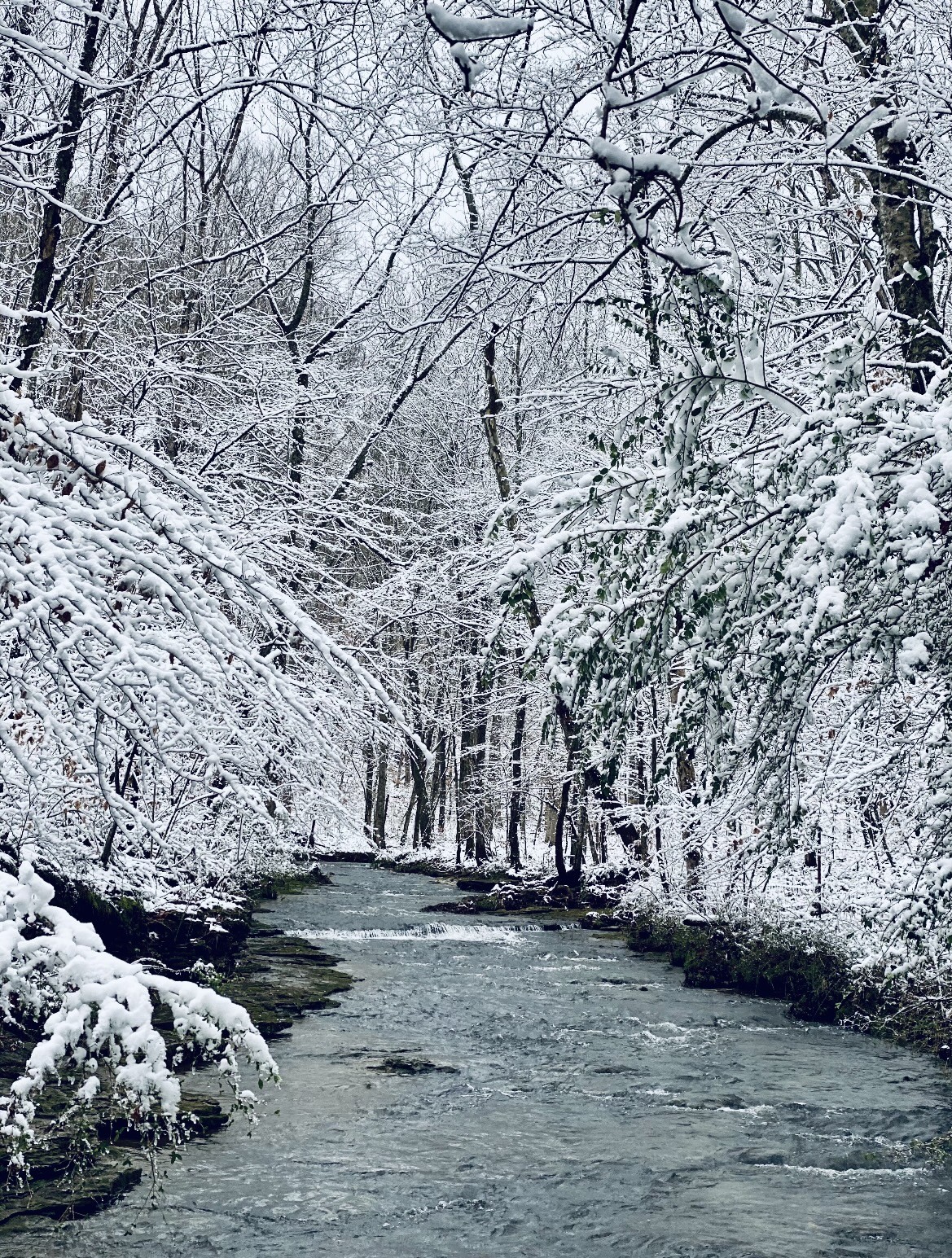 925 Bumpas Road Lawrenceburg, TN 38464 - Photo 23 of 28