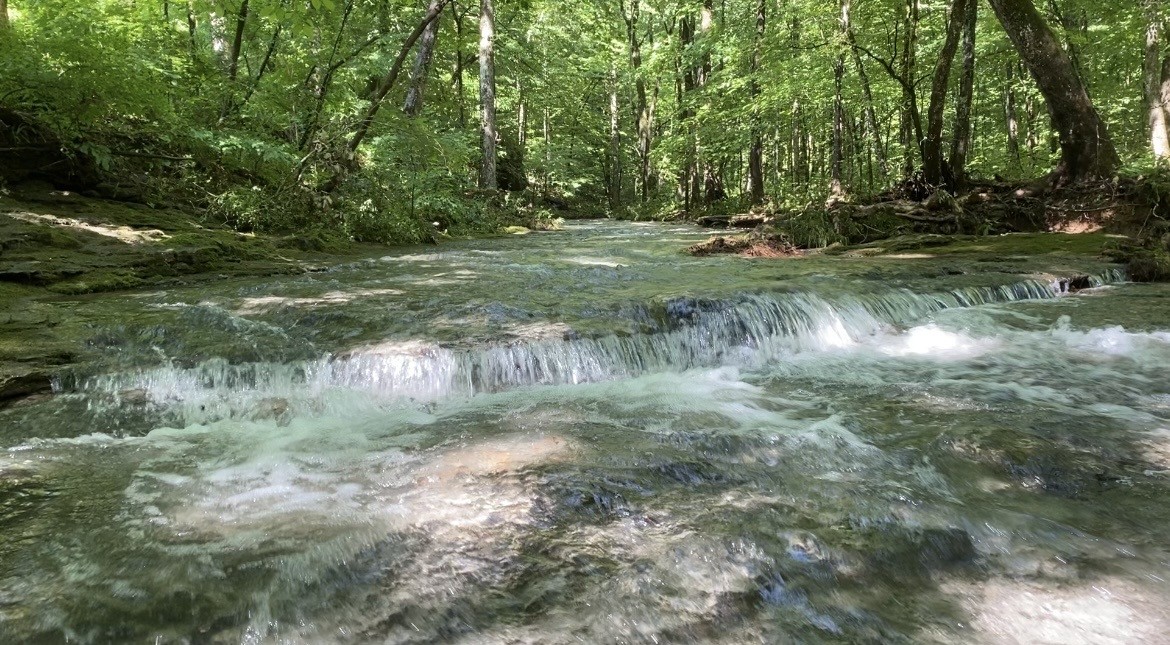 925 Bumpas Road Lawrenceburg, TN 38464 - Photo 3 of 28