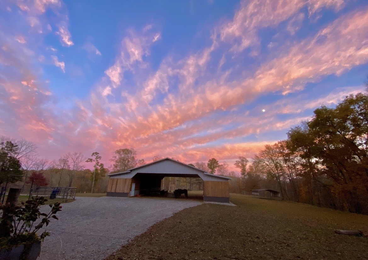 925 Bumpas Road Lawrenceburg, TN 38464 - Photo 6 of 28