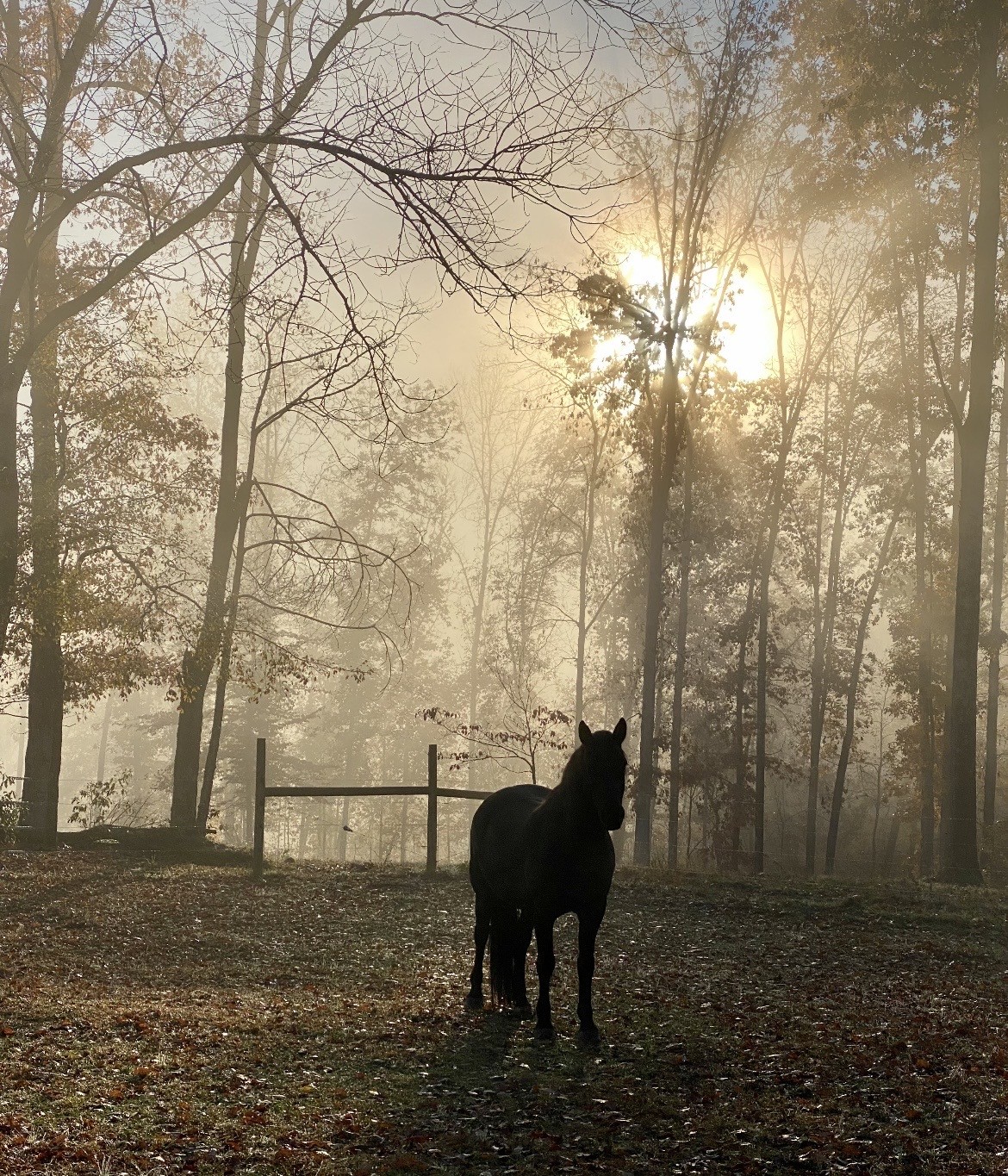 925 Bumpas Road Lawrenceburg, TN 38464 - Photo 7 of 28