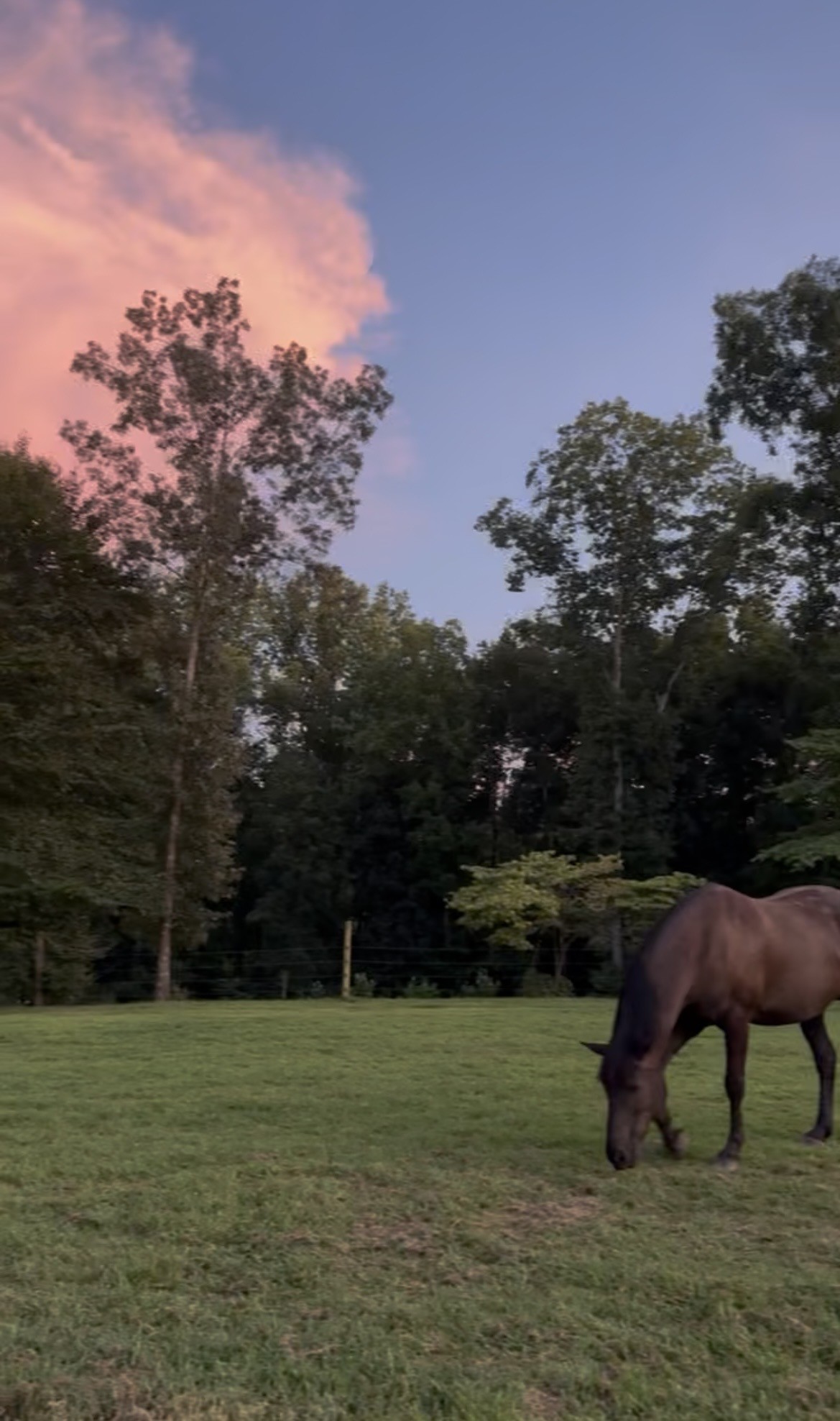 925 Bumpas Road Lawrenceburg, TN 38464 - Photo 10 of 28