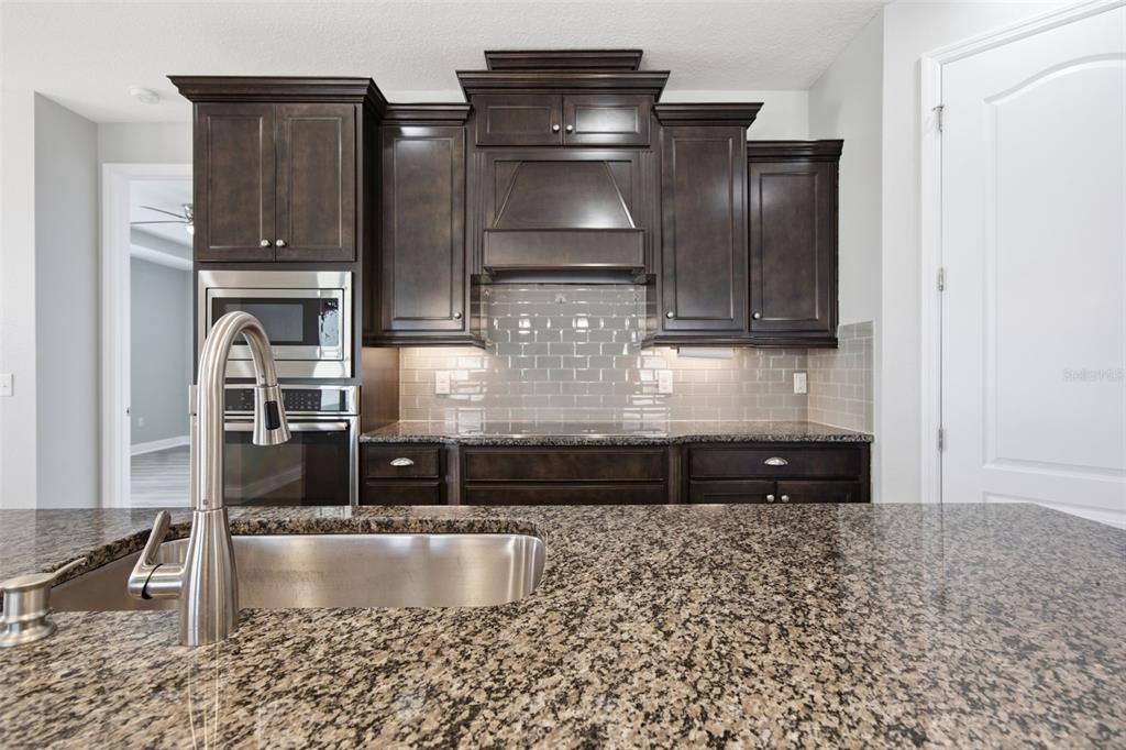 15020 Trinity Fall Way Bradenton, FL 34212 - Photo 19 of 66