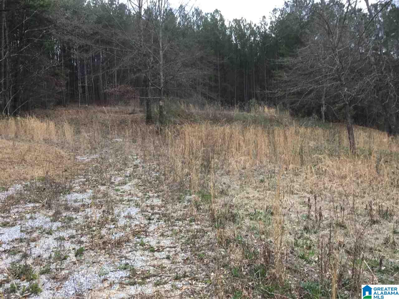 371 Hollys Lane, Unit 2 Riverside, AL 35135 - Photo 1 of 3