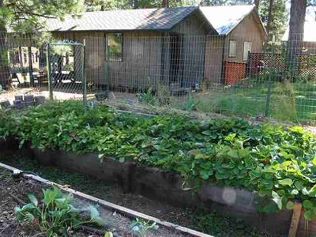 1 Meadow Ranch Court Calpine, CA 96124 - Photo 9 of 9 Gallery Image 9