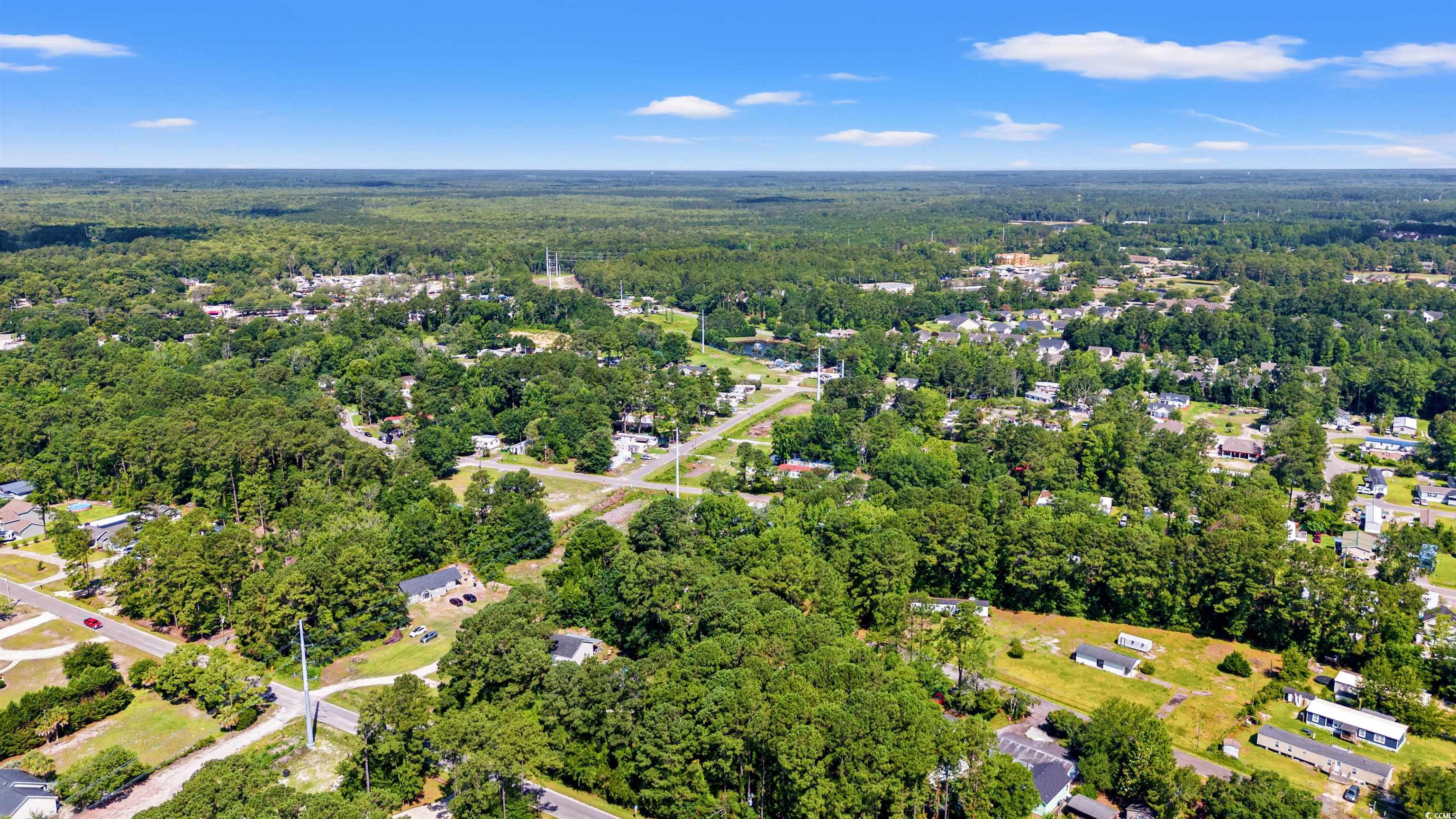 938 Fox Hollow Road Conway, SC 29526 - Photo 36 of 39 View of property location with a heavily wooded area