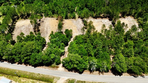 1.32 Acres Airport Road Andalusia, AL 36421 - Photo 3 of 12