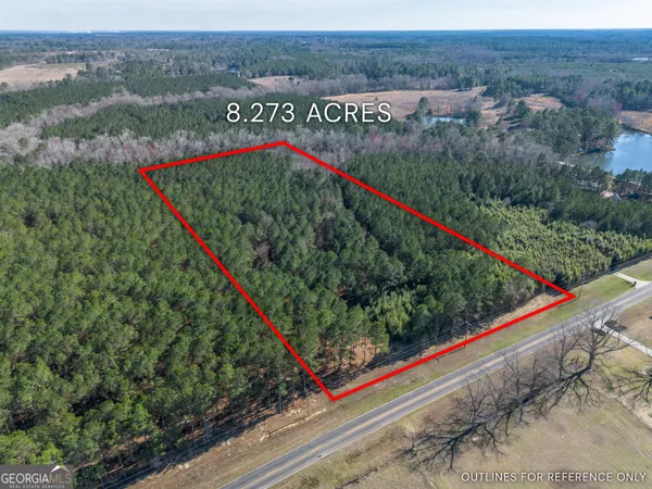 $69,000 | Lot 1 Ben Giddens Road, Eastman, GA 31023