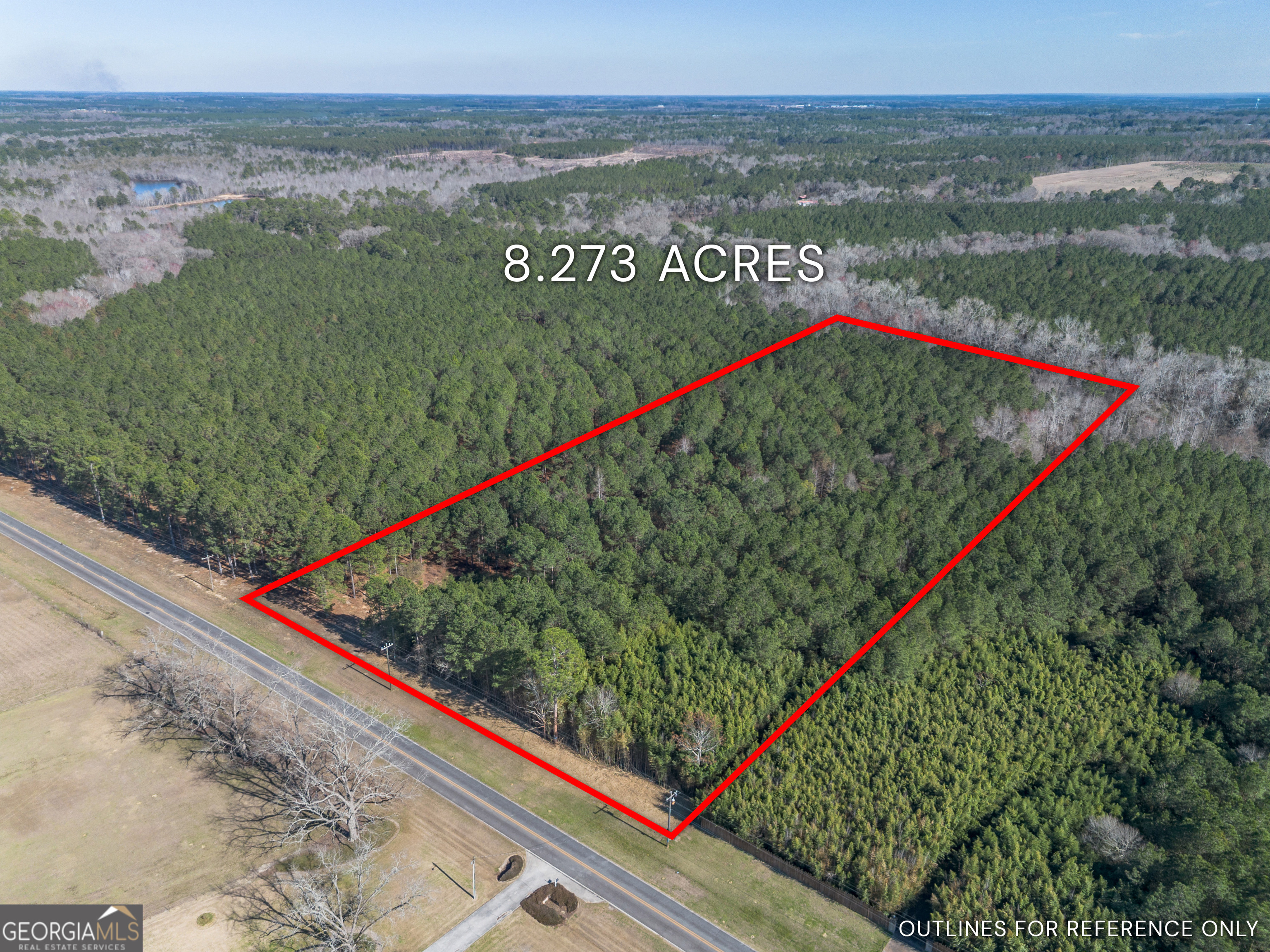 Lot 1 Ben Giddens Road Eastman, GA 31023 - Photo 2 of 9