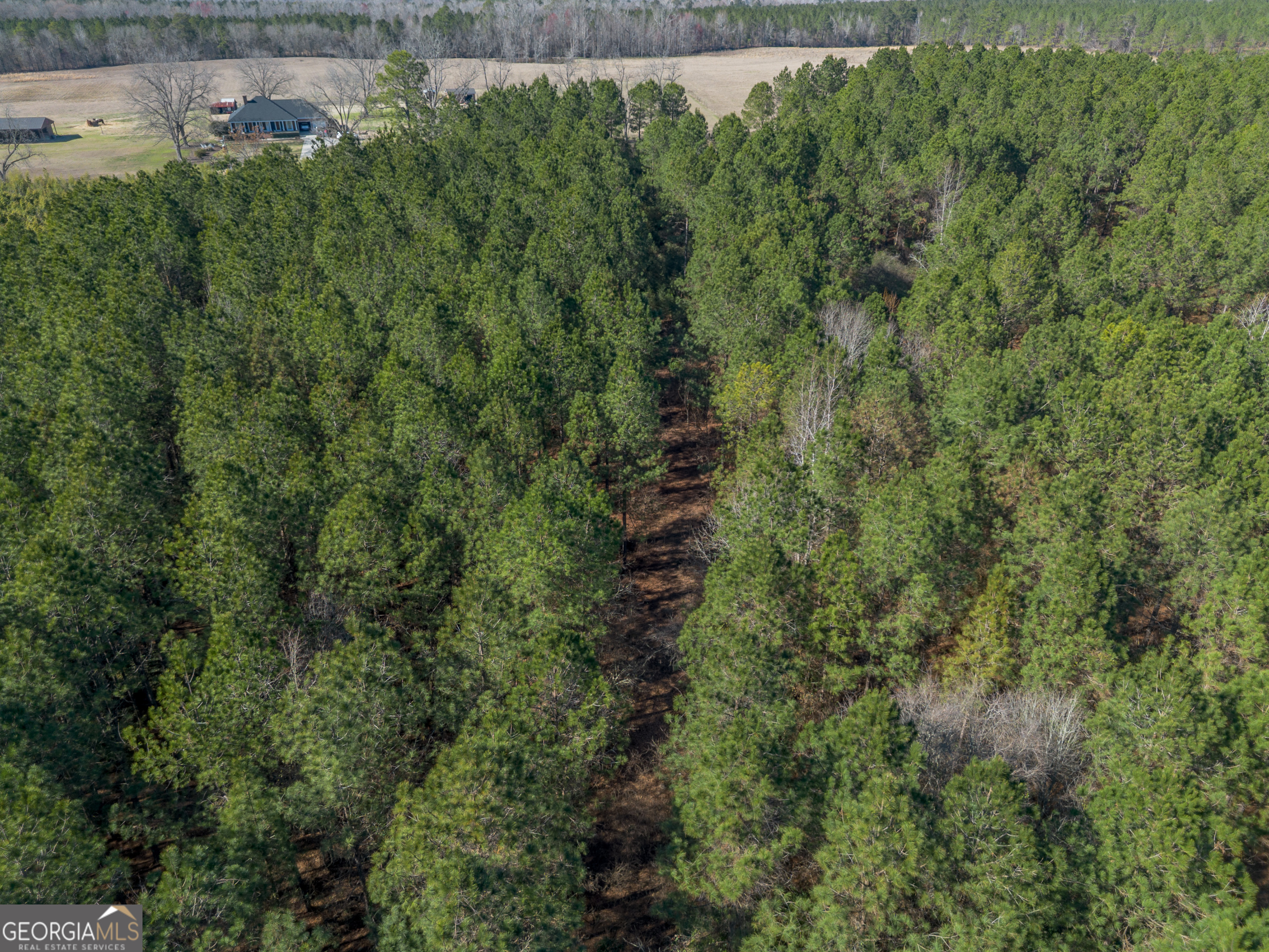 Lot 1 Ben Giddens Road Eastman, GA 31023 - Photo 5 of 9