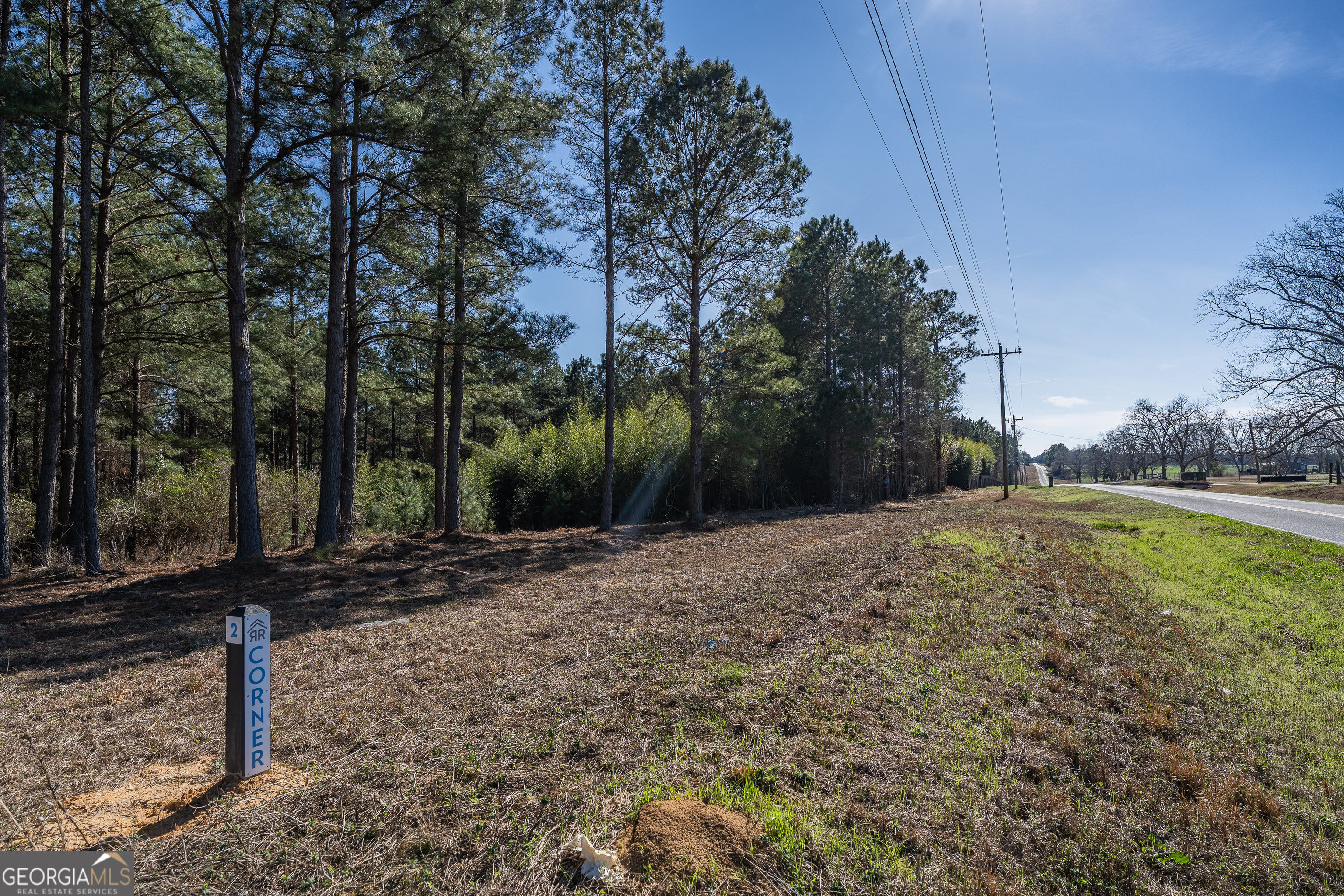 Lot 1 Ben Giddens Road Eastman, GA 31023 - Photo 6 of 9