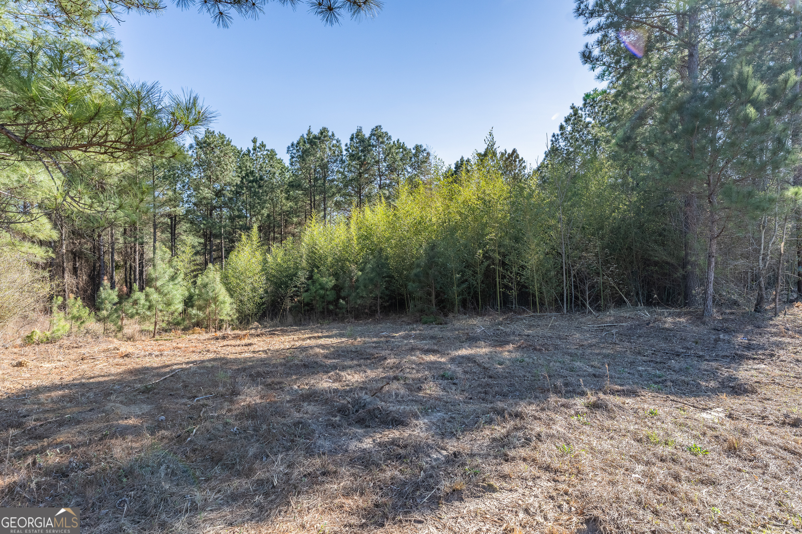 Lot 1 Ben Giddens Road Eastman, GA 31023 - Photo 9 of 9