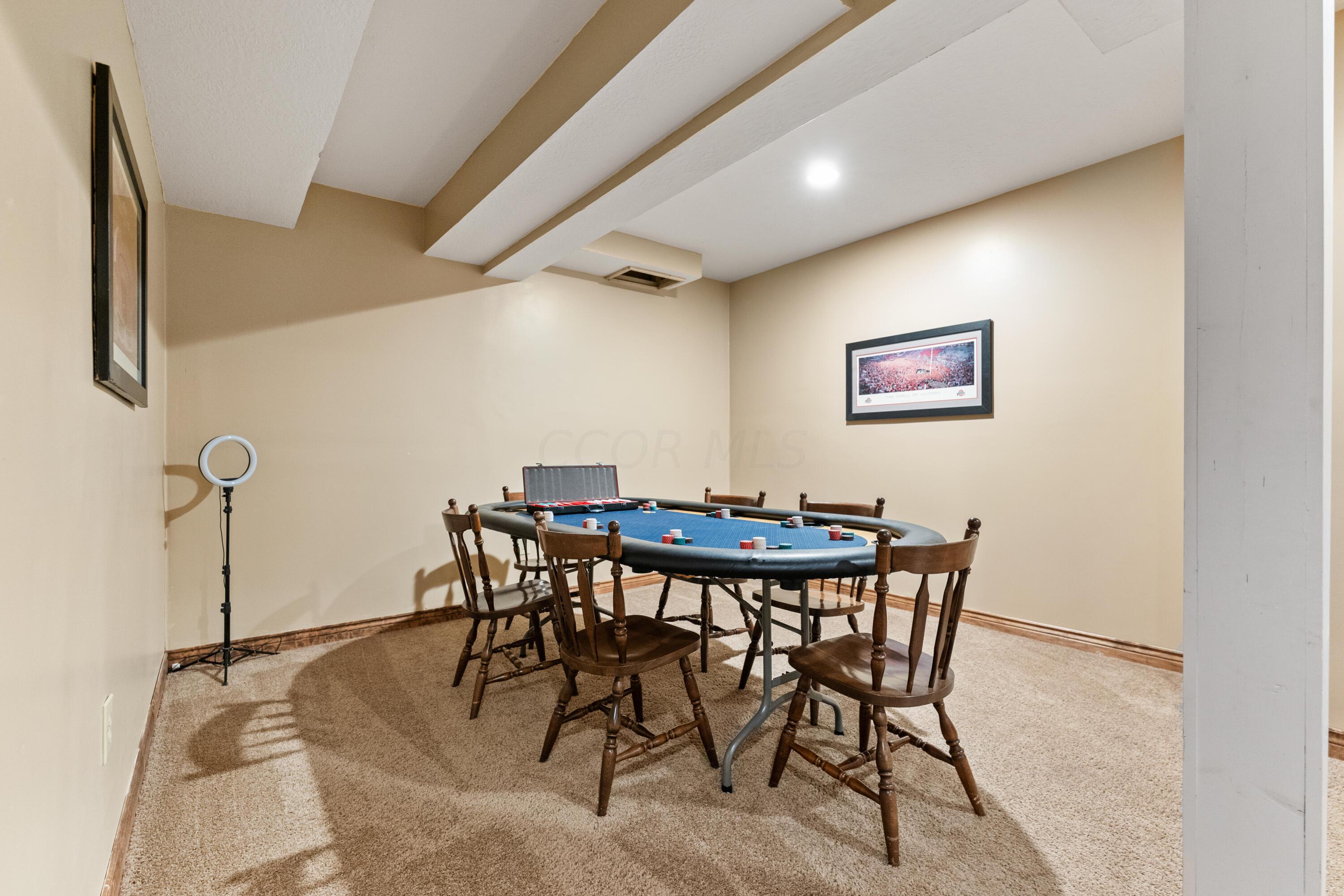4677 State Rte 61 Sunbury, OH 43074 - Photo 60 of 104 Basement Rec Room