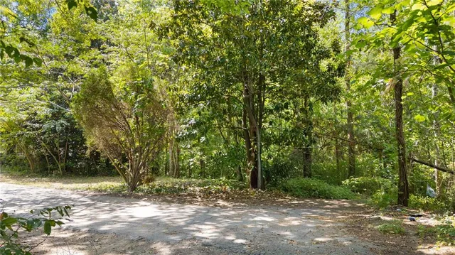 a view of a yard with a tree