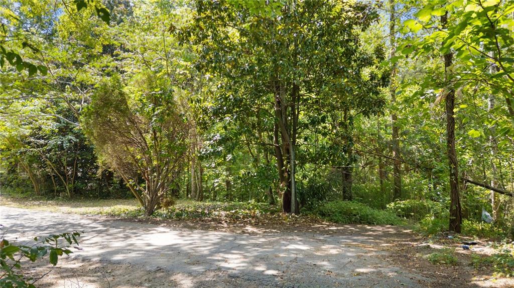 0 Reed Street Canton, GA 30114 - Photo 8 of 13 a view of a yard with a tree