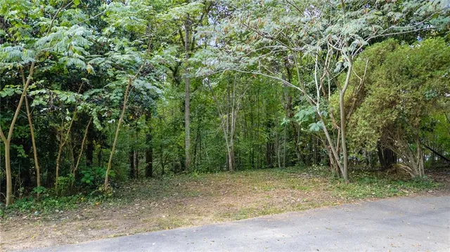 a backyard of a house with lots of trees
