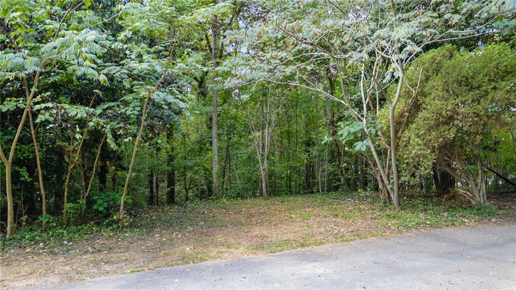 0 Reed Street Canton, GA 30114 - Photo 9 of 13 a backyard of a house with lots of trees