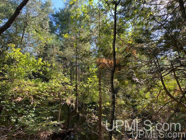 3980 County Road 476 Ishpeming, MI 49849 - Photo 33 of 37
