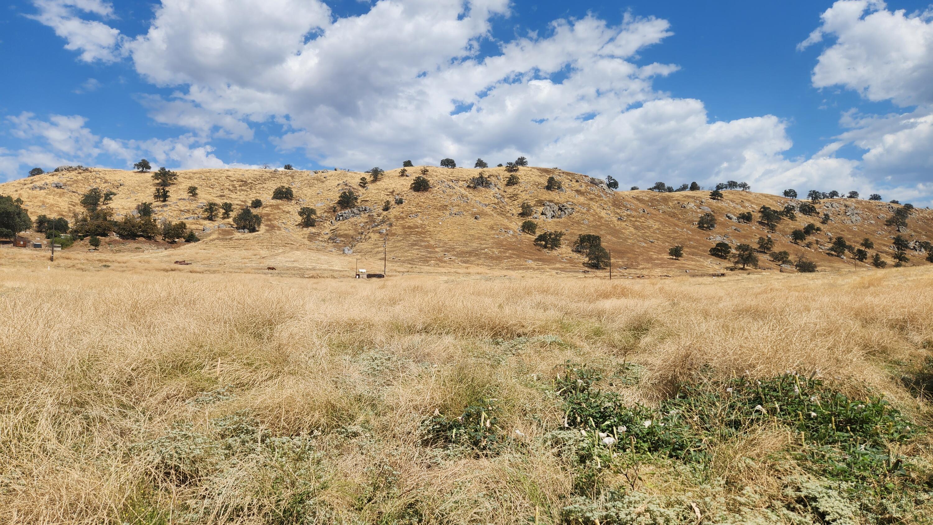 190 (7.55 Ac) Springville, CA 93265 - Photo 11 of 12 a view of ocean