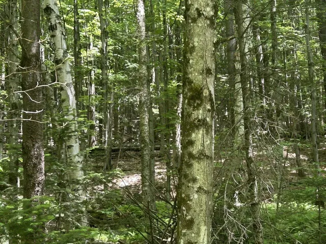 $199,000 | 0 Rushford Valley Road, Montgomery Center, VT 05471