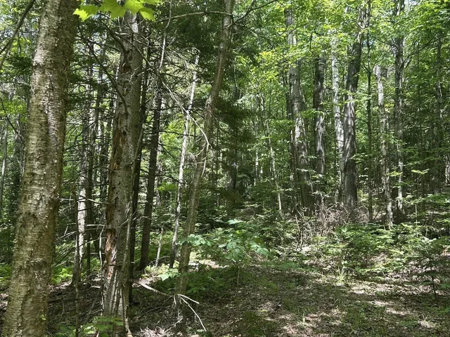 $199,000 | 0 Rushford Valley Road, Montgomery Center, VT 05471