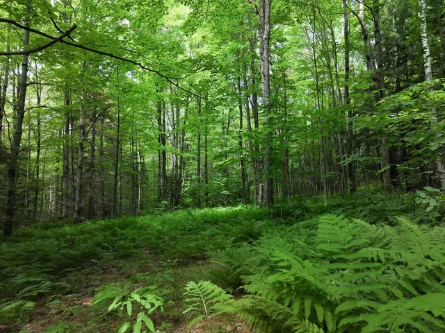 $199,000 | 0 Rushford Valley Road, Montgomery Center, VT 05471