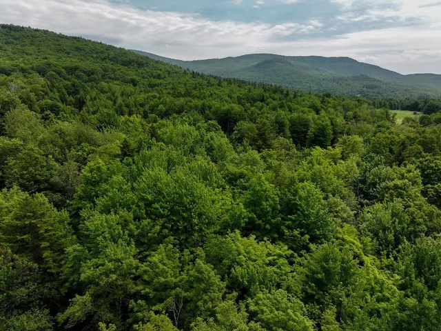 $199,000 | 0 Rushford Valley Road, Montgomery Center, VT 05471