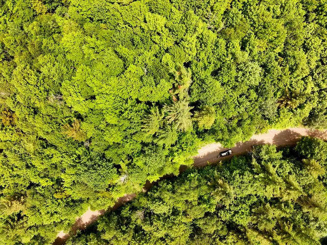 $199,000 | 0 Rushford Valley Road, Montgomery Center, VT 05471