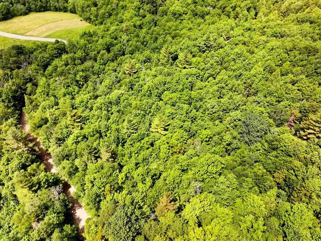 $199,000 | 0 Rushford Valley Road, Montgomery Center, VT 05471