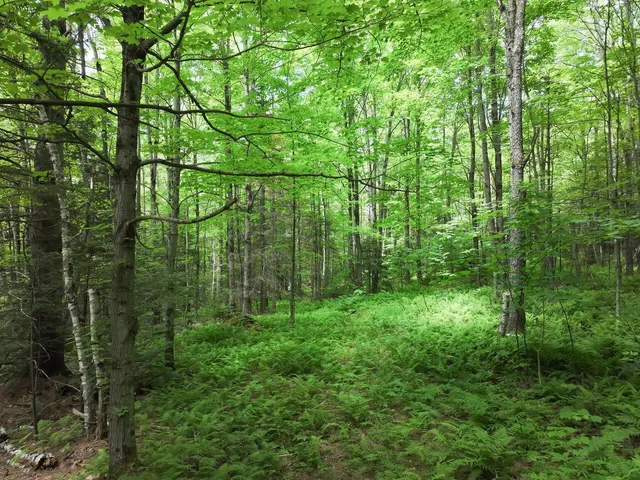 $199,000 | 0 Rushford Valley Road, Montgomery Center, VT 05471