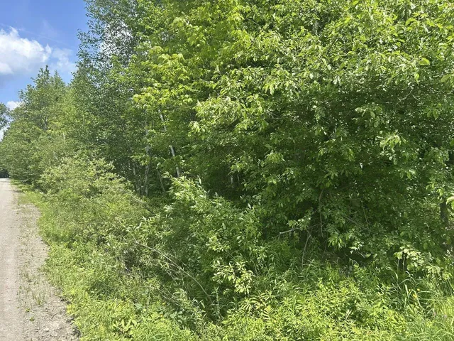 $199,000 | 0 Rushford Valley Road, Montgomery Center, VT 05471