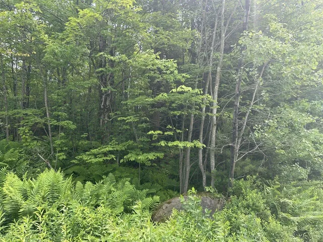 $199,000 | 0 Rushford Valley Road, Montgomery Center, VT 05471