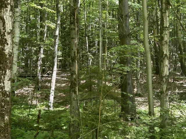 $199,000 | 0 Rushford Valley Road, Montgomery Center, VT 05471