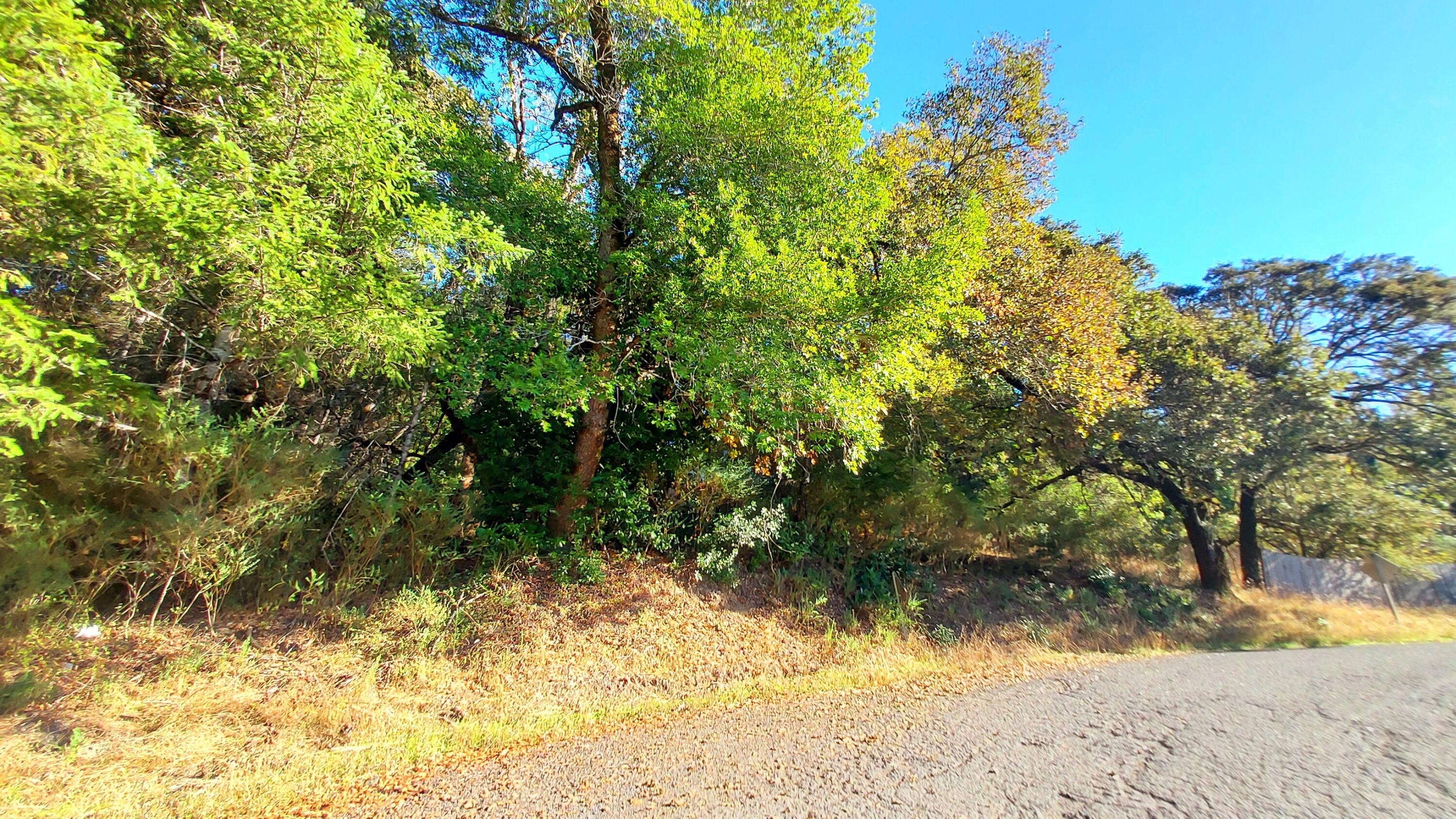 467 Blue Rock Road Benbow, CA 95542 - Photo 1 of 14
