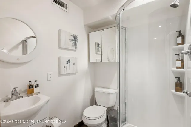 $6,775,000 | 630 West Sopris Creek Road, Basalt, CO 81621