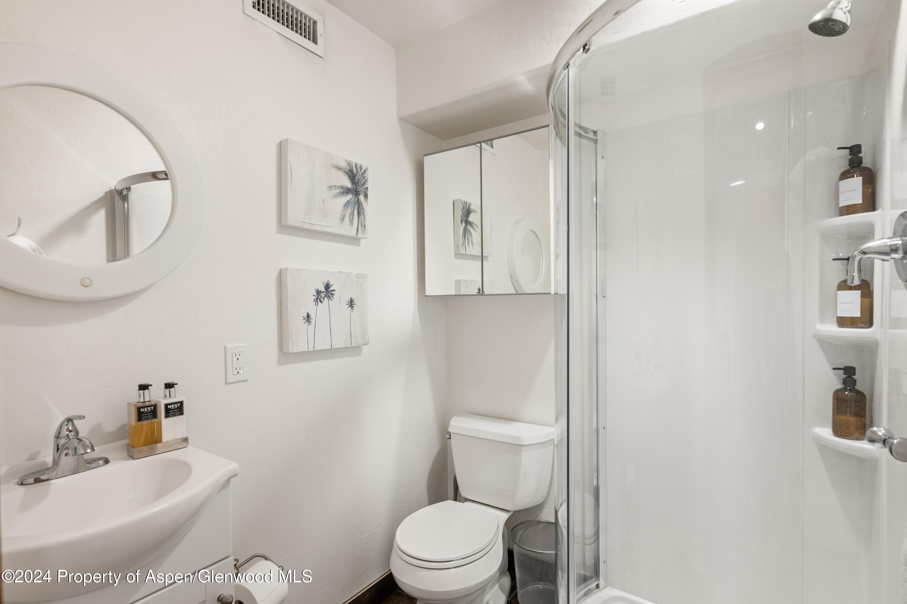 630 West Sopris Creek Road Basalt, CO 81621 - Photo 25 of 30 Guest Bathroom 3
