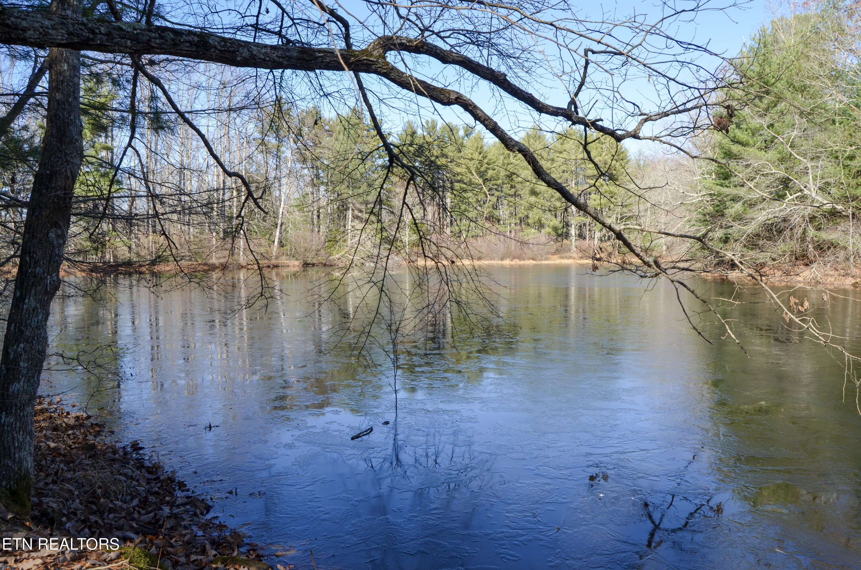 63.3 Acres Crossville, TN 38571 - Photo 1 of 60 52-DSC_0710