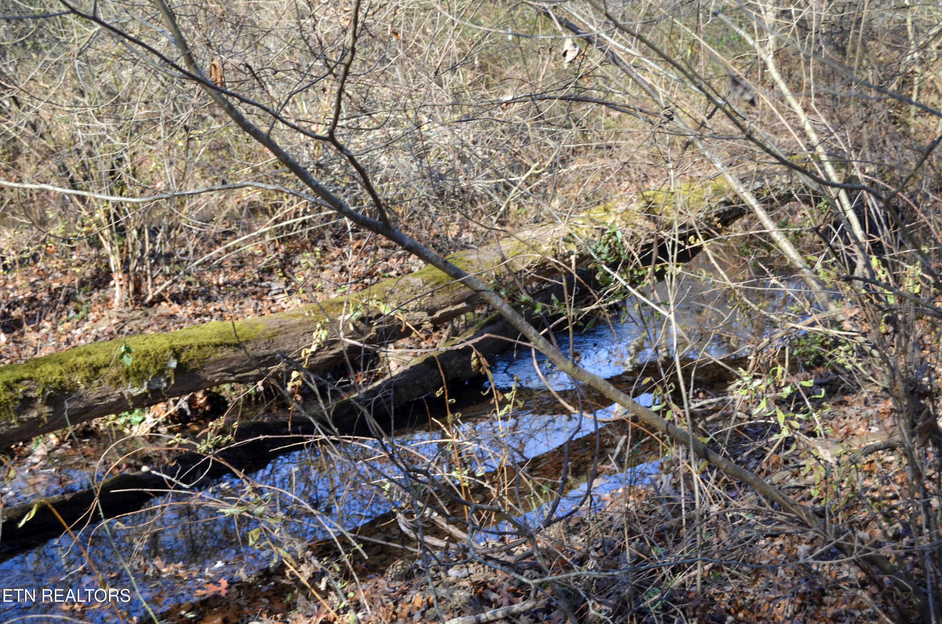 63.3 Acres Crossville, TN 38571 - Photo 11 of 60 26-DSC_0773