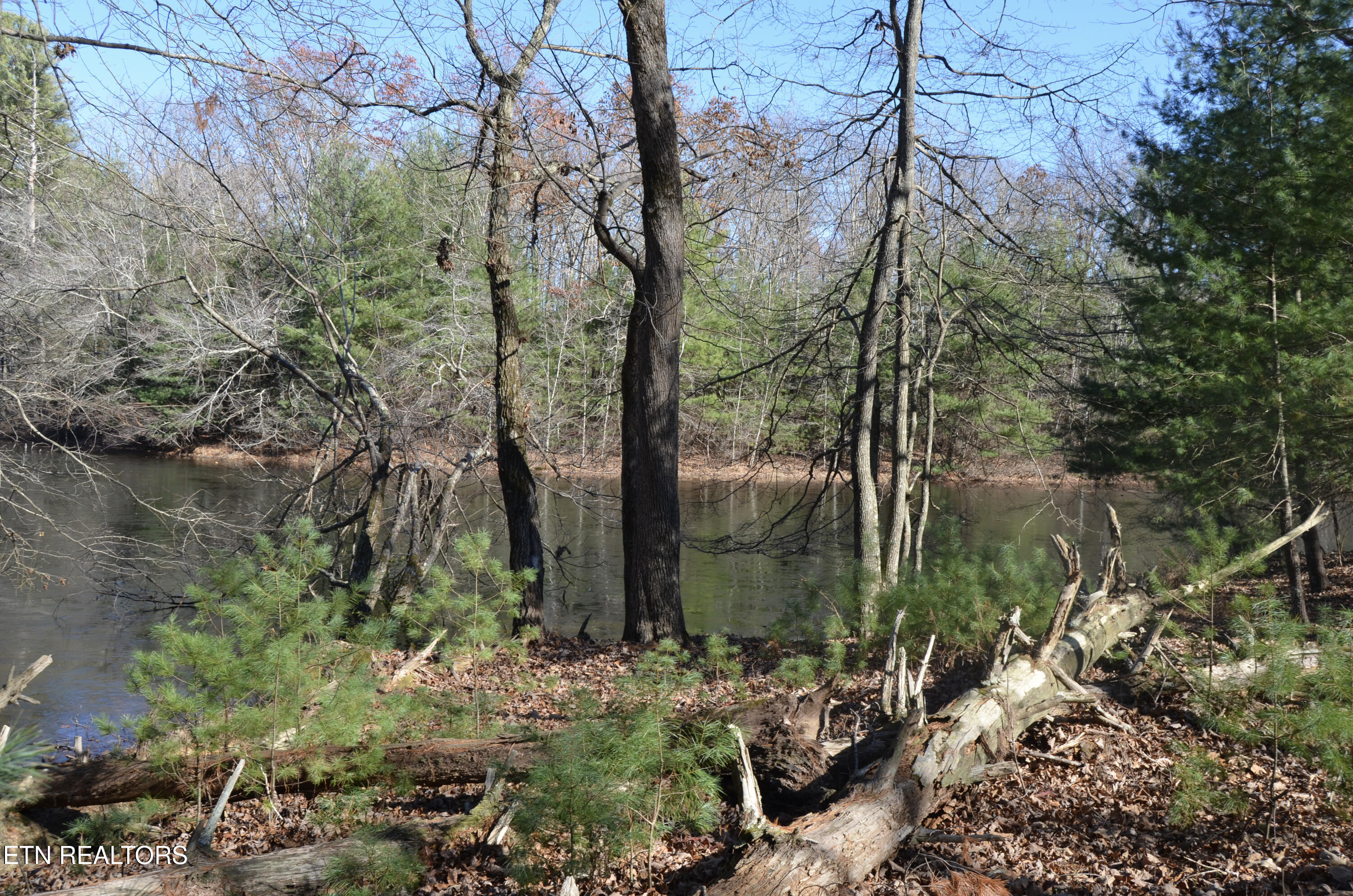 63.3 Acres Crossville, TN 38571 - Photo 12 of 60 48-DSC_0716