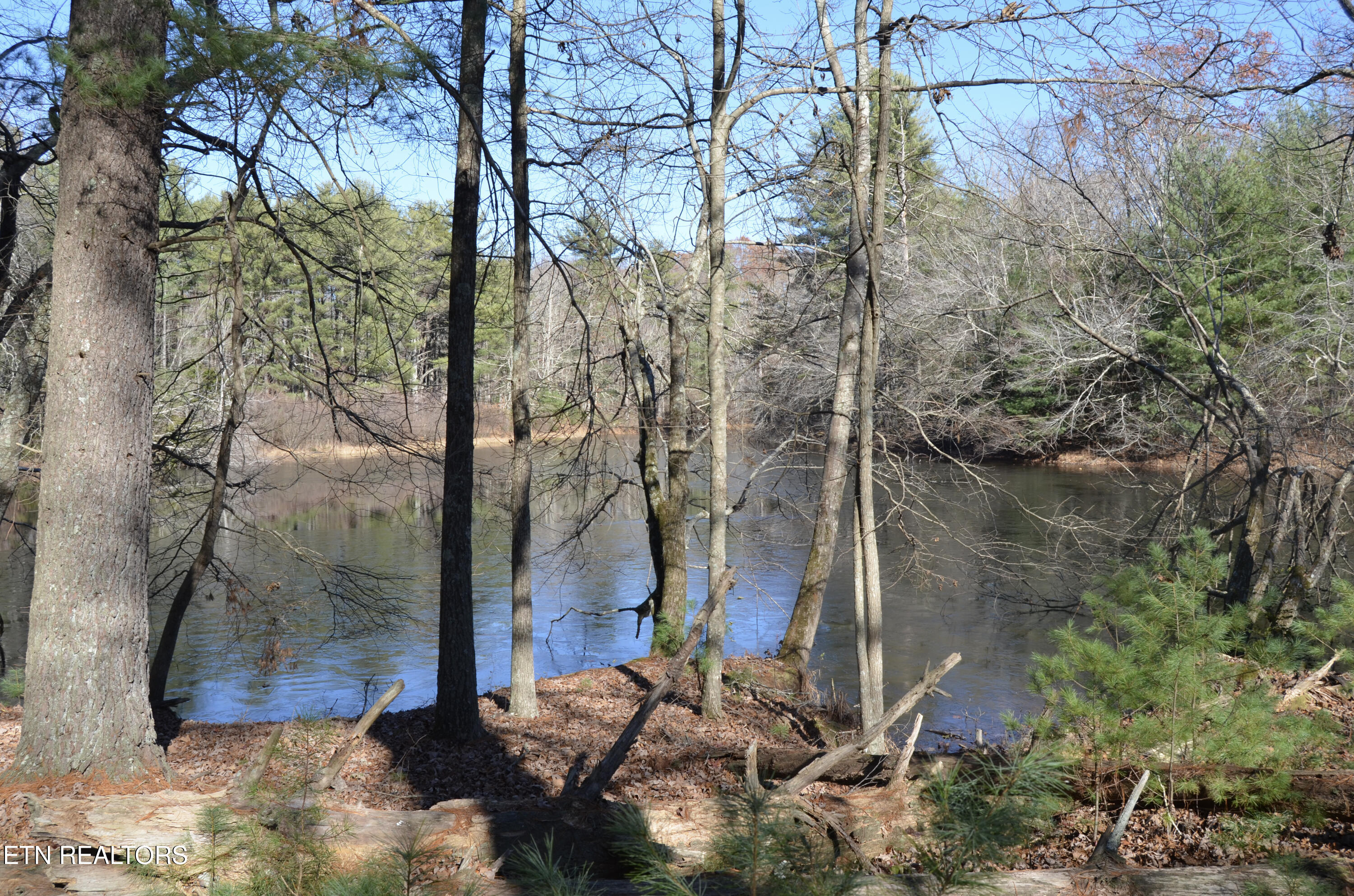 63.3 Acres Crossville, TN 38571 - Photo 13 of 60 49-DSC_0714