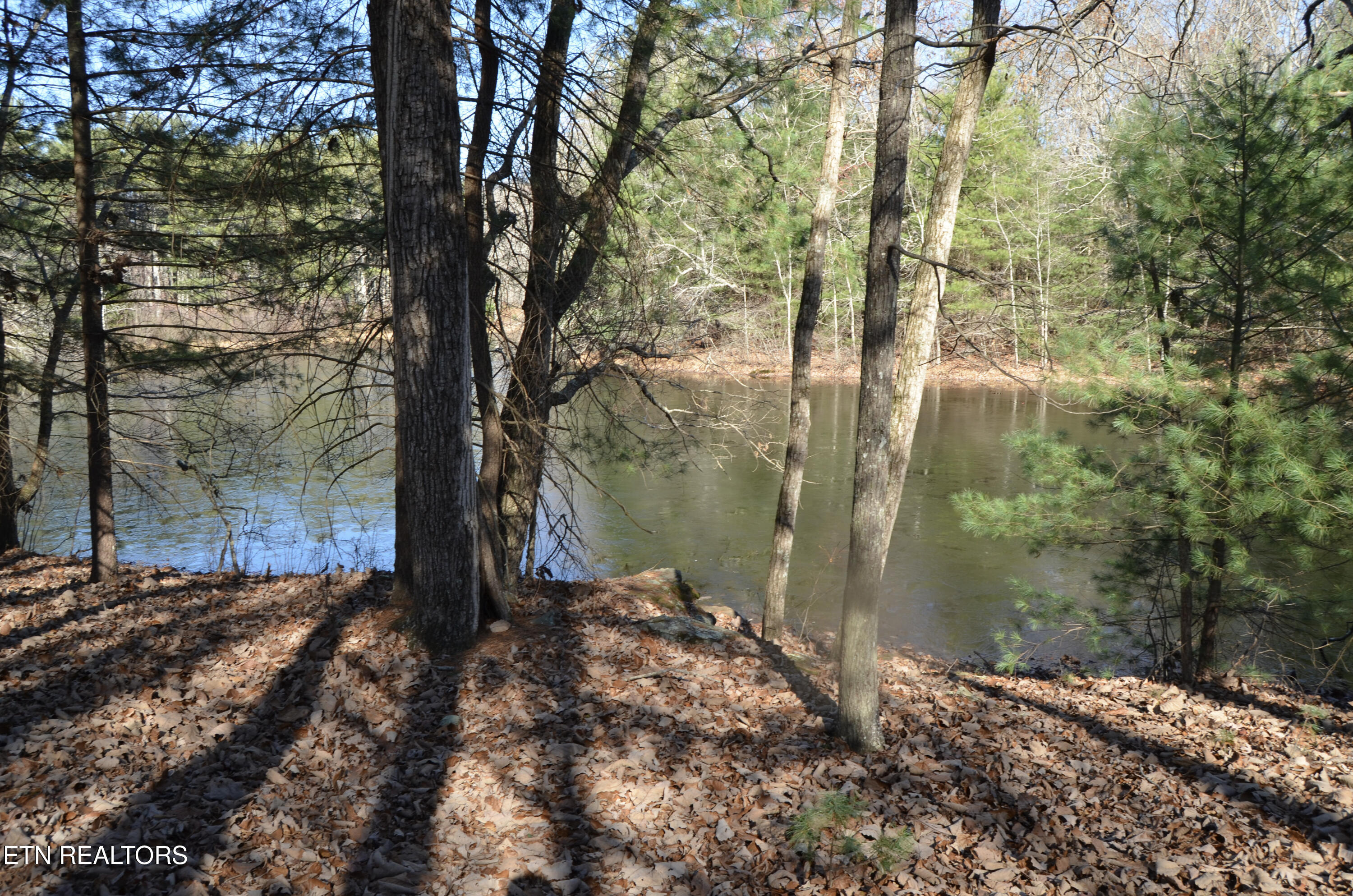 63.3 Acres Crossville, TN 38571 - Photo 14 of 60 53-DSC_0708