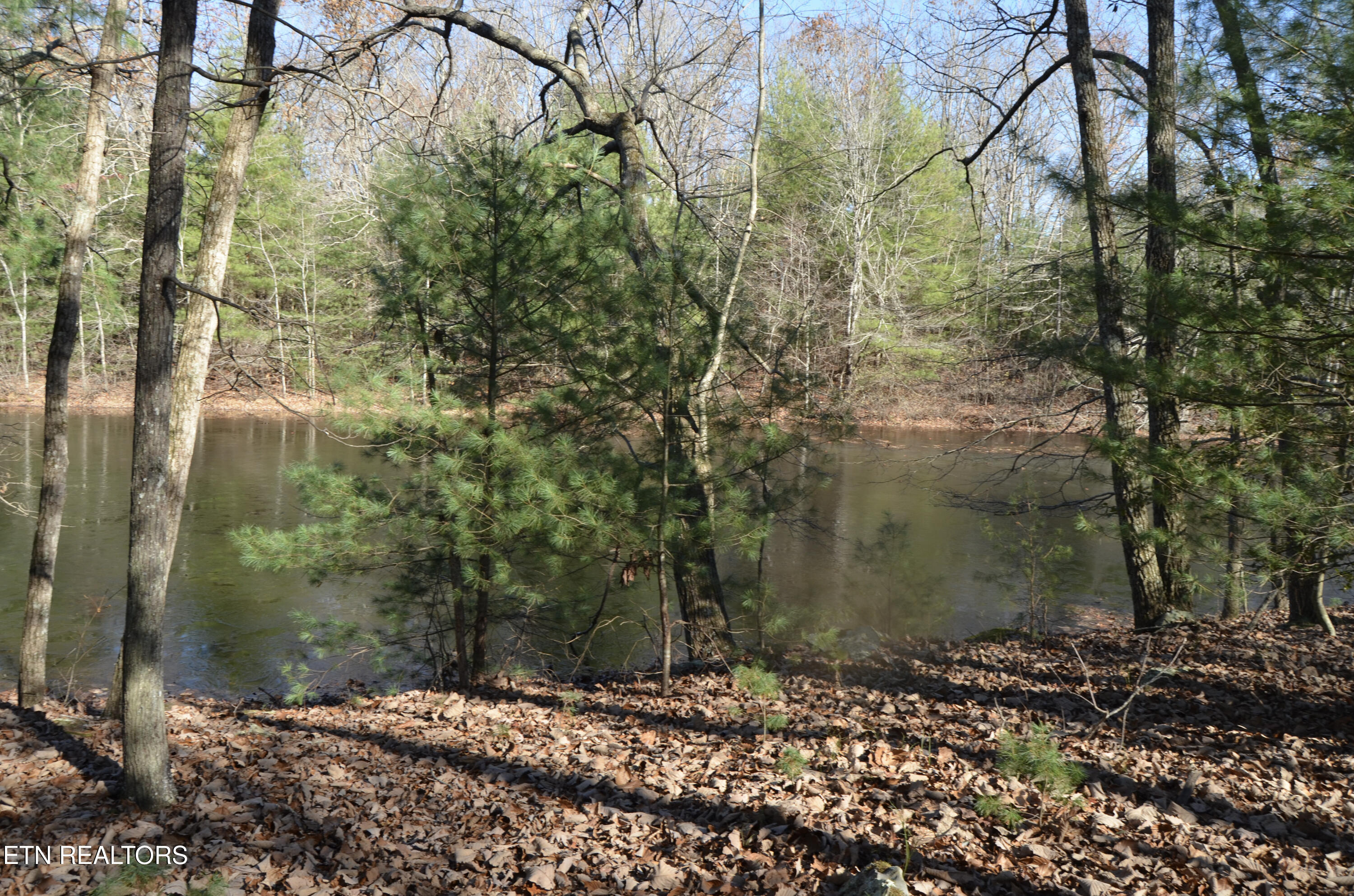 63.3 Acres Crossville, TN 38571 - Photo 15 of 60 54-DSC_0707