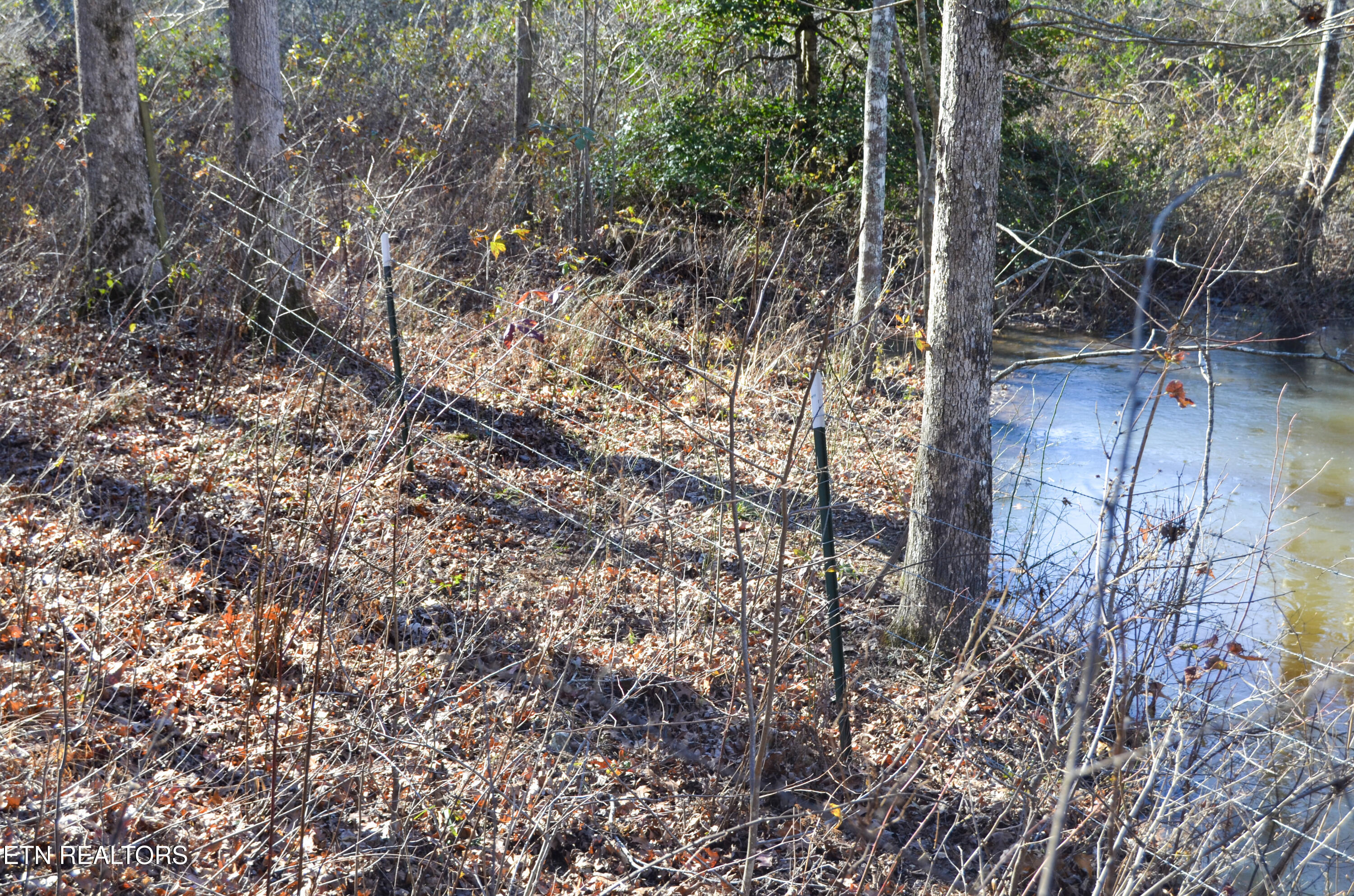 63.3 Acres Crossville, TN 38571 - Photo 16 of 60 28-DSC_0769