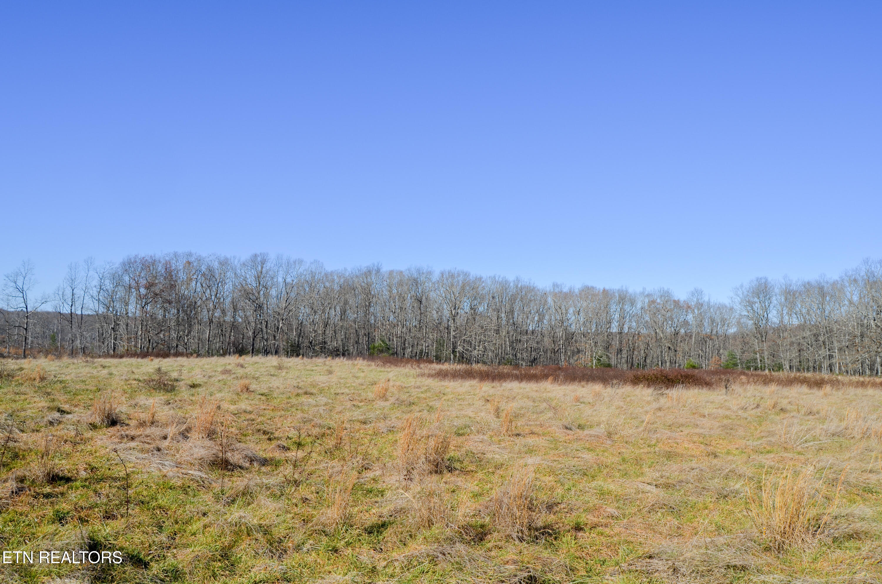 63.3 Acres Crossville, TN 38571 - Photo 17 of 60 57-DSC_0699