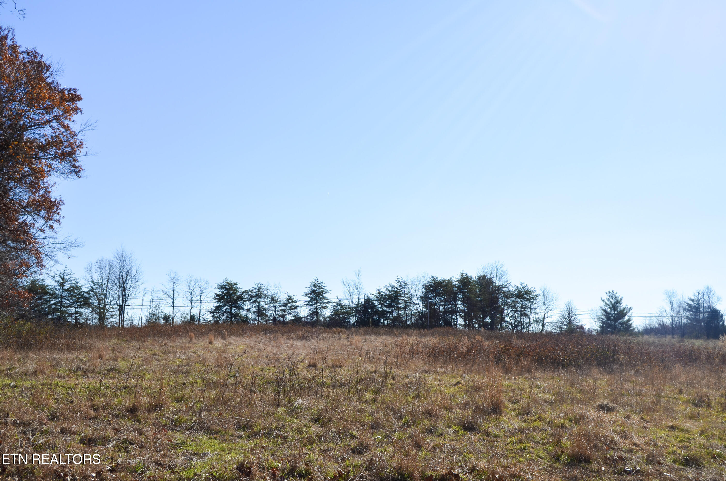 63.3 Acres Crossville, TN 38571 - Photo 18 of 60 46-DSC_0720