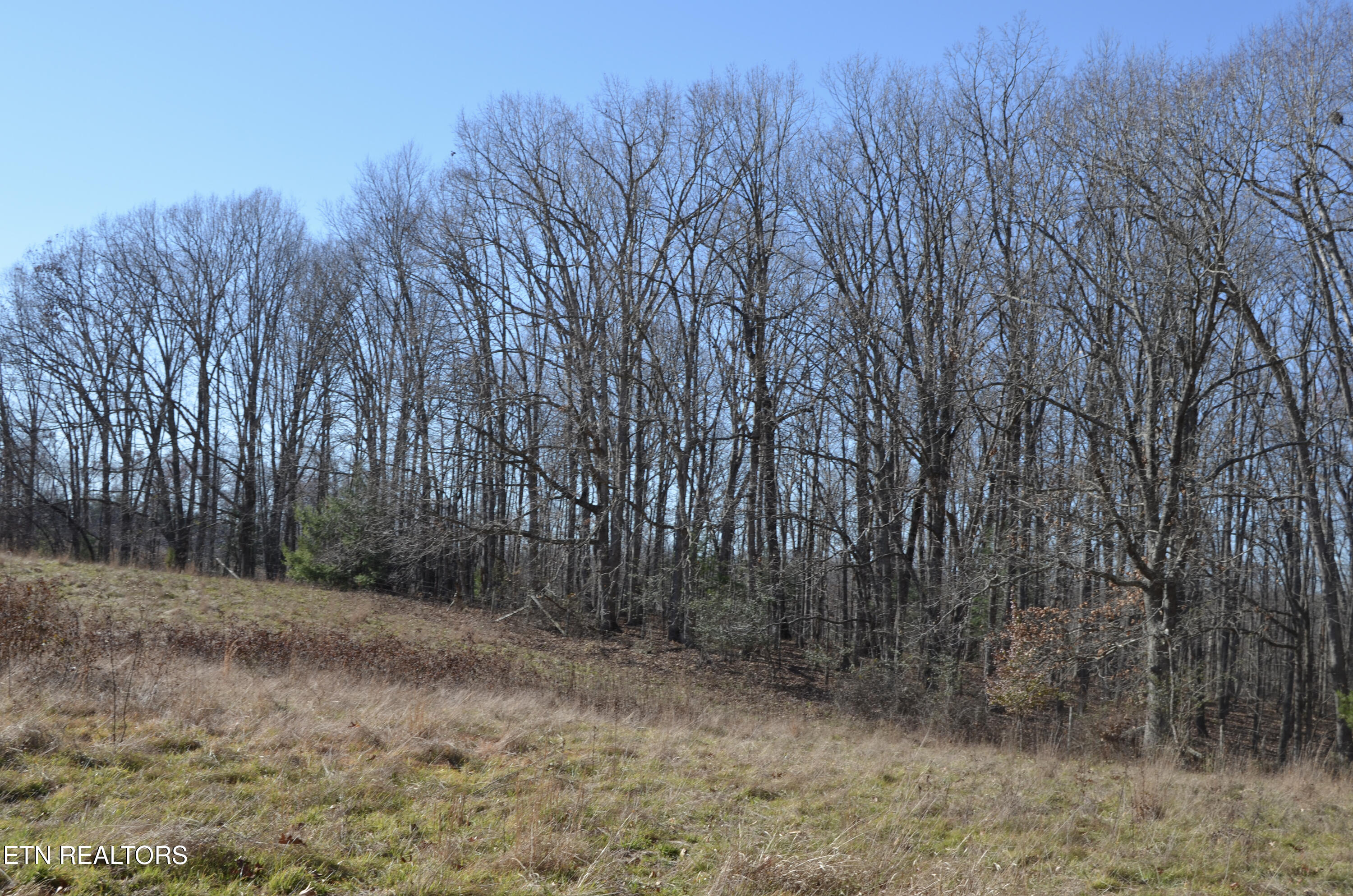 63.3 Acres Crossville, TN 38571 - Photo 19 of 60 47-DSC_0719