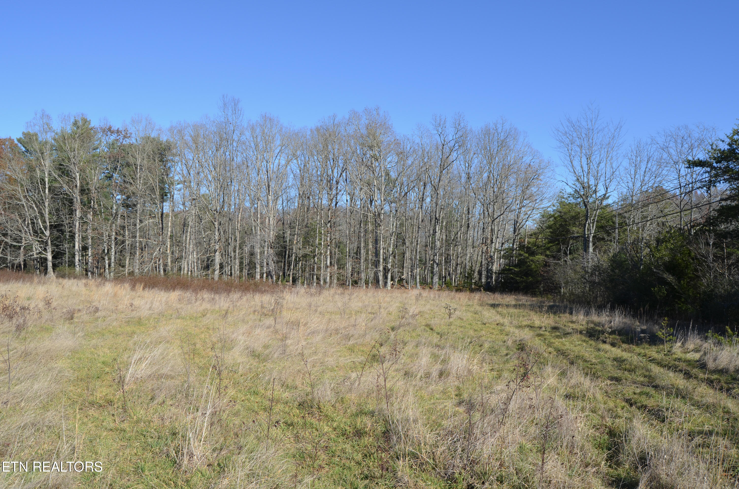 63.3 Acres Crossville, TN 38571 - Photo 20 of 60 56-DSC_0701