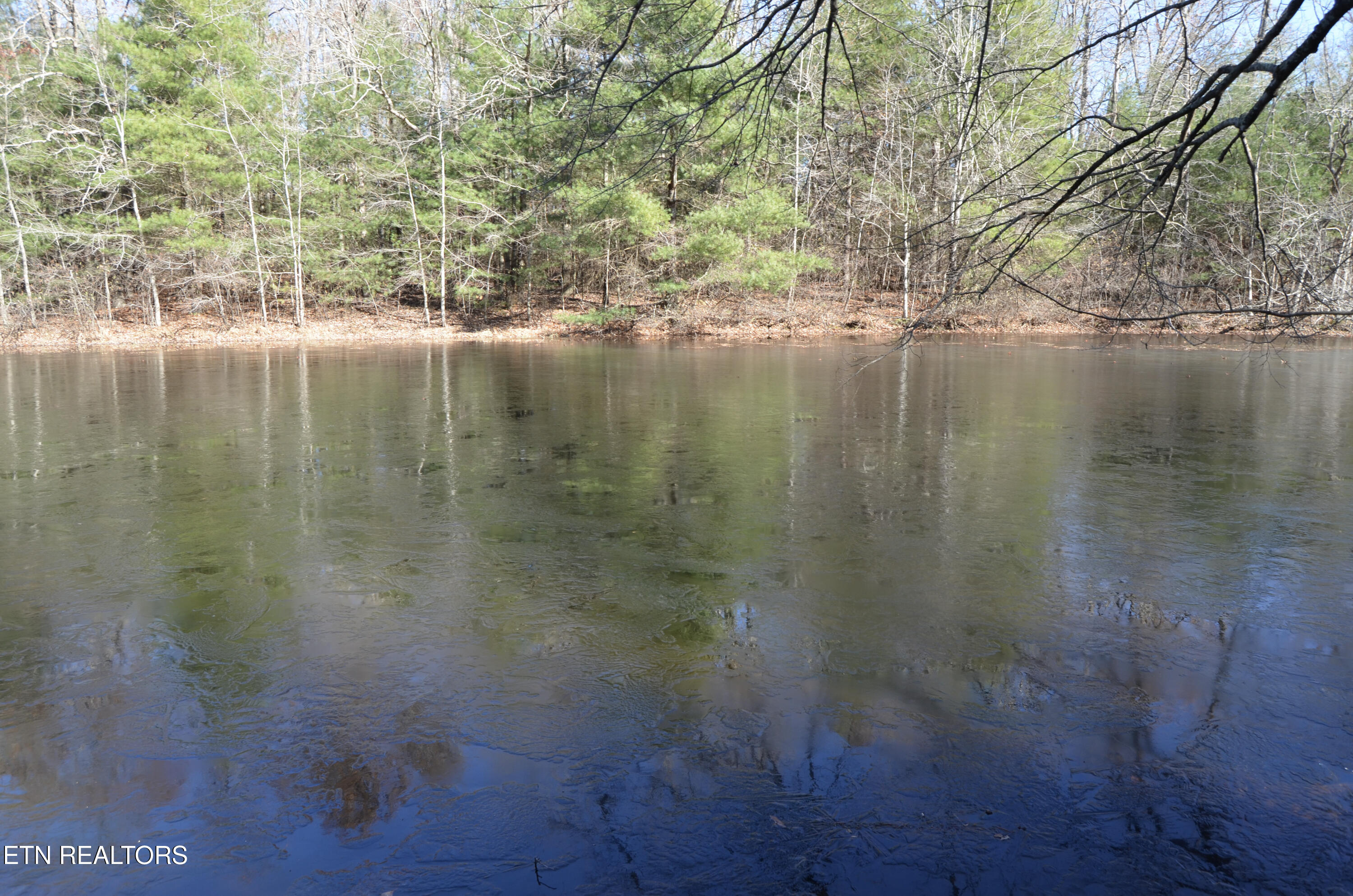 63.3 Acres Crossville, TN 38571 - Photo 2 of 60 51-DSC_0711